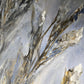 Mystique Of Frost